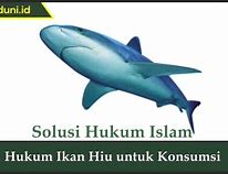 Ikan Hiu Halal Atau Haram Nu Online